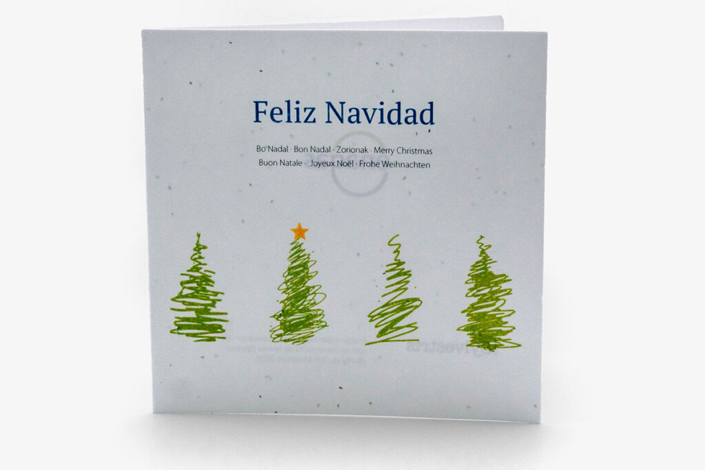 papel-con-semillas-1024x683